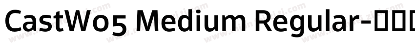 CastW05 Medium Regular字体转换